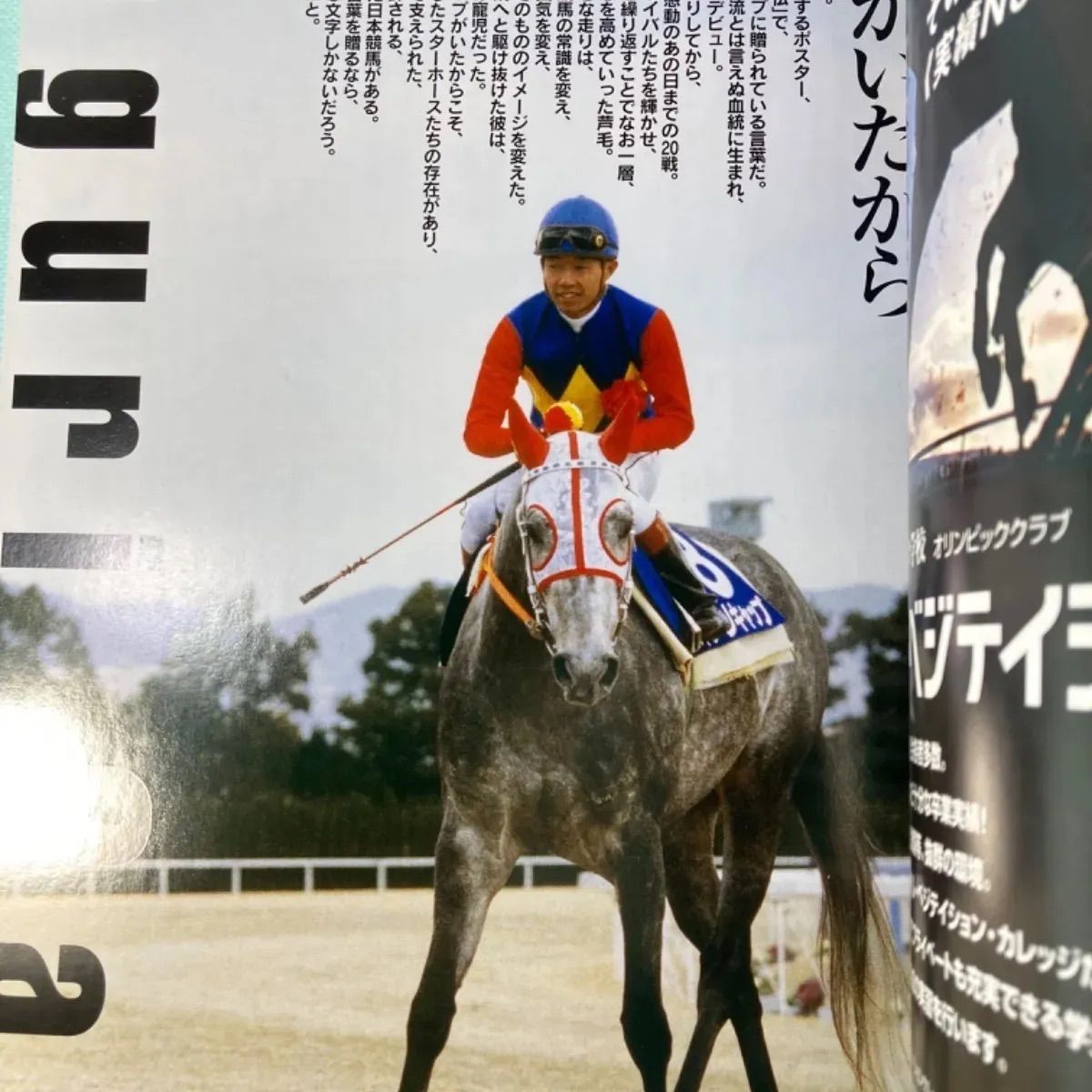 創刊 100名馬 Gallop 特別版 週刊100名馬 Vol.61 ジェニュイン [Gallop臨時増刊] | 渡辺秀茂