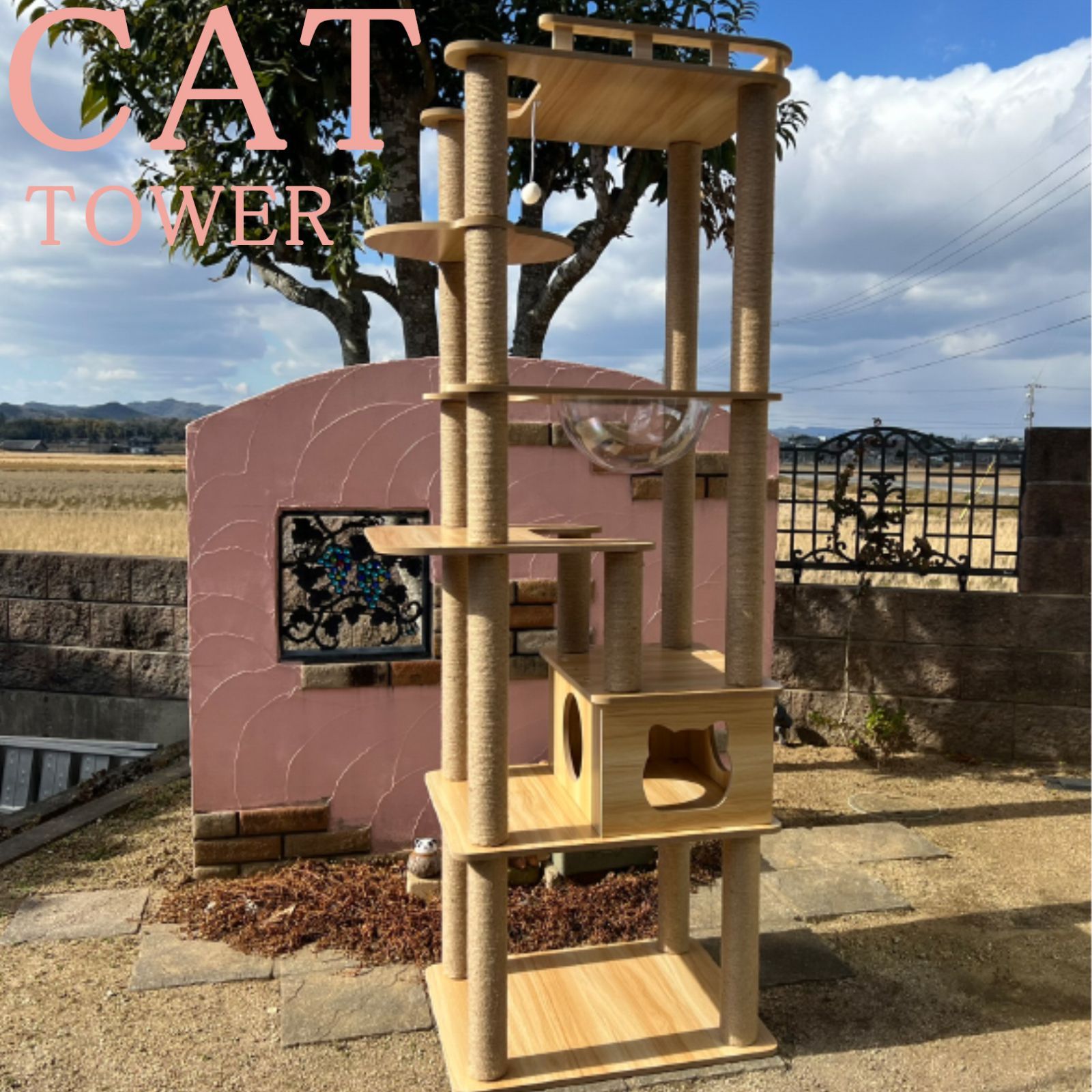 大型猫 178cm