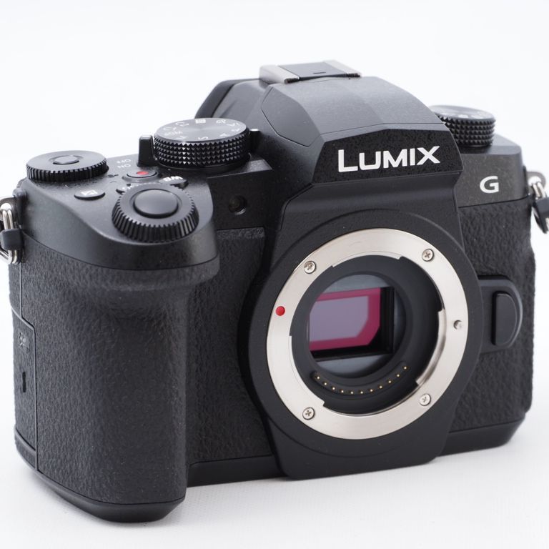 Panasonic パナソニック ルミックス LUMIX G99 ボディ 2030万画素