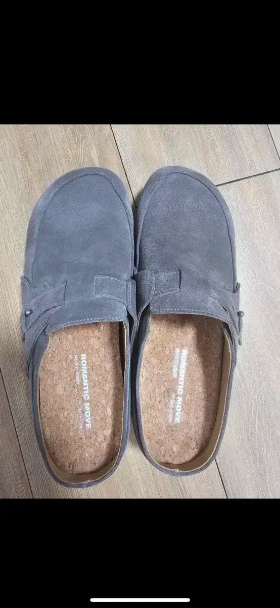 OZROSAURUS / AREA AREA / VILI VILI オジロ OZROSAURUS - AREA AREA