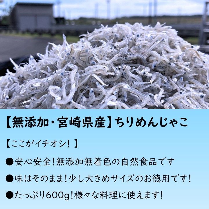 【無添加・宮崎県産】ちりめんじゃこ　900g-1