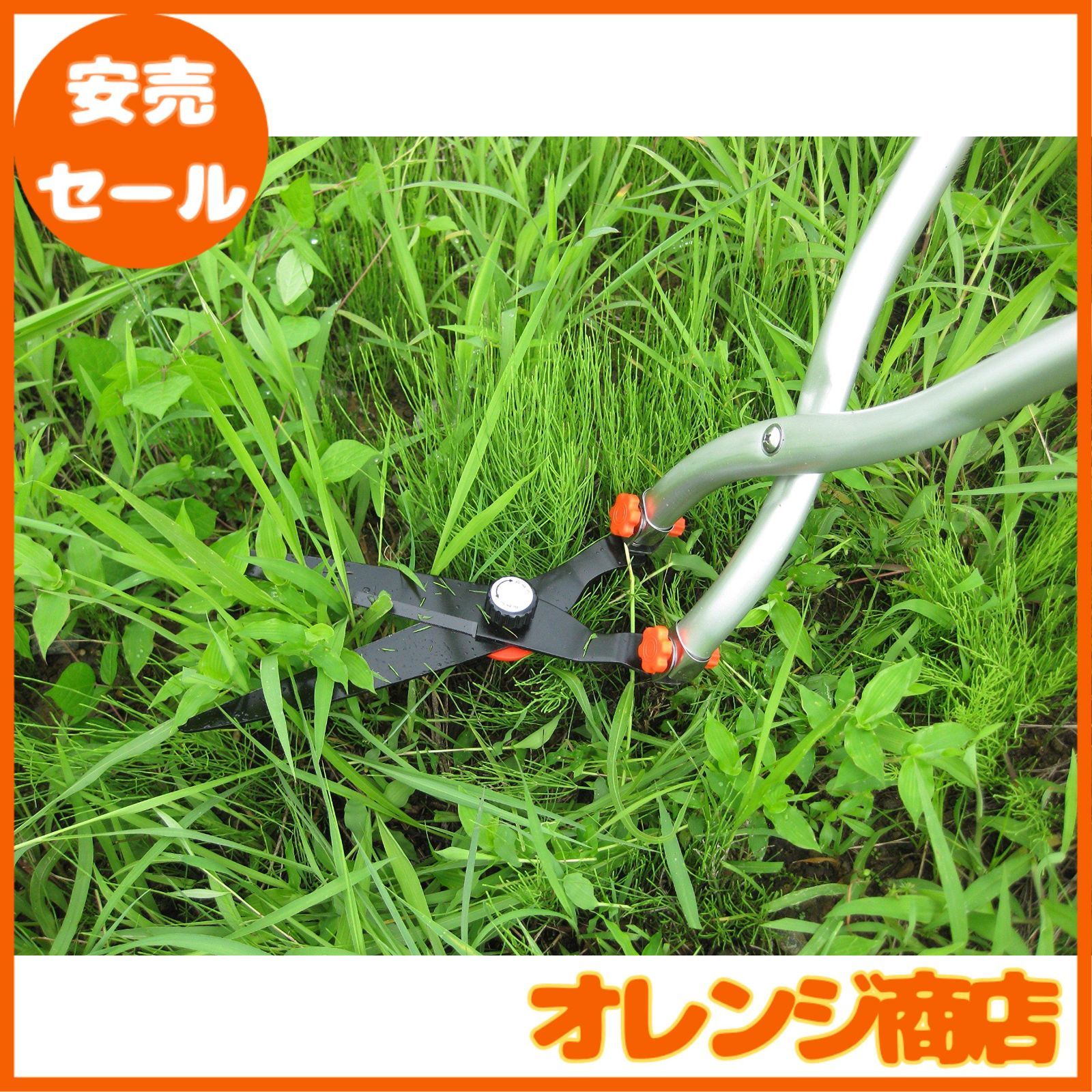 ㈱ホシノ
