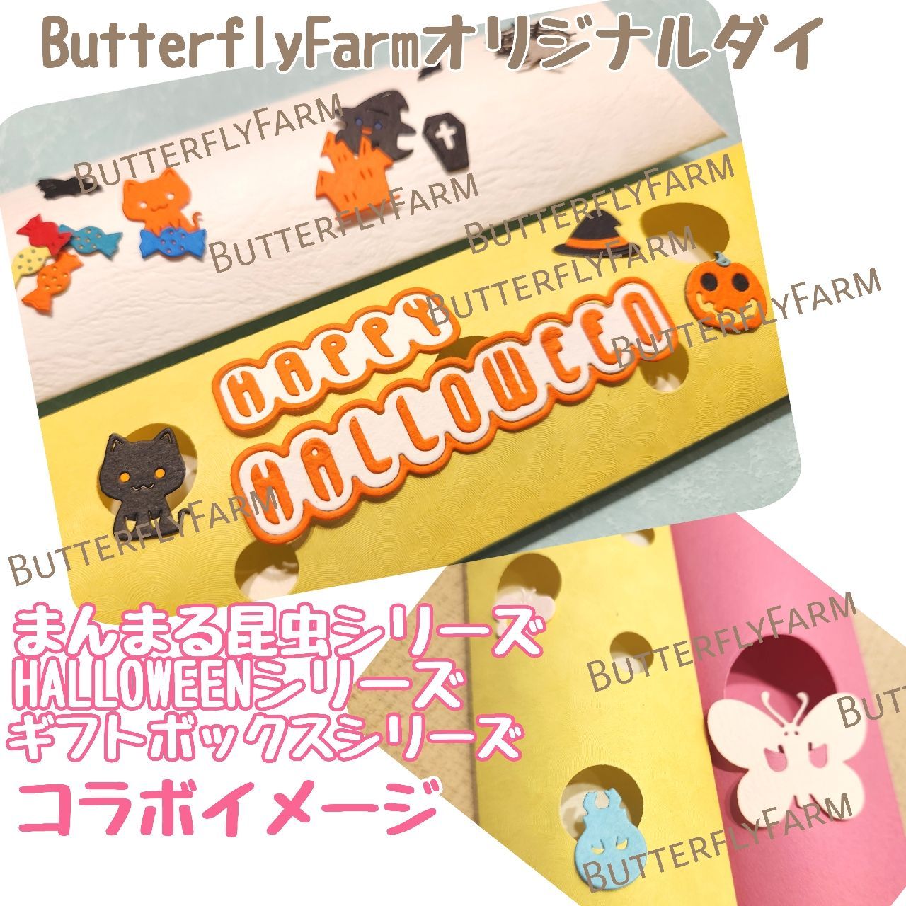 ギフトボックス】ButterflyFarmオリジナルダイ ギフトボックスが作れる