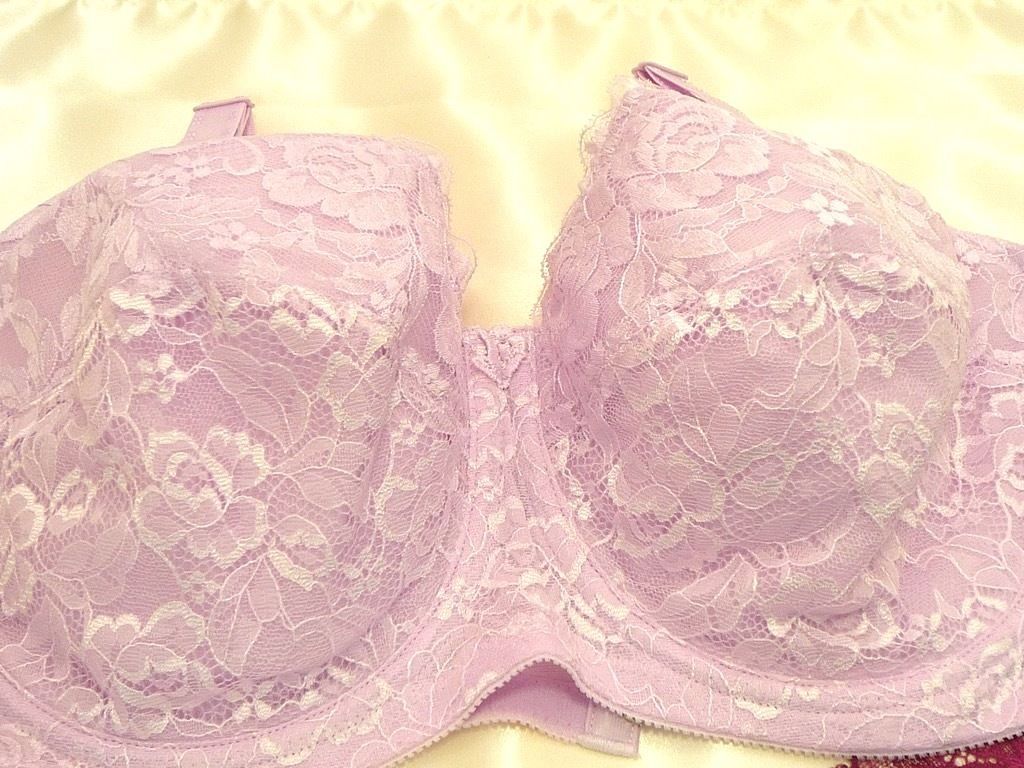 シャンデール ロングブラジャー ピンク F85｜シャンデール ロング