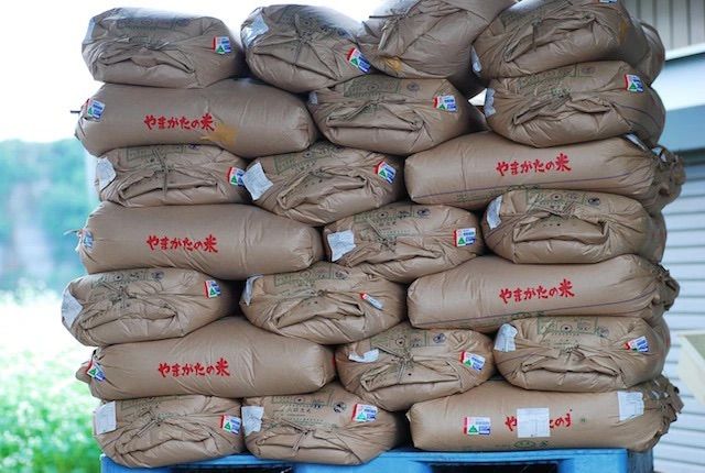 新米　令和5年山形県産　残留農薬ゼロ　玄米　精米無料　1kg　ミルキークイーン　メルカリ