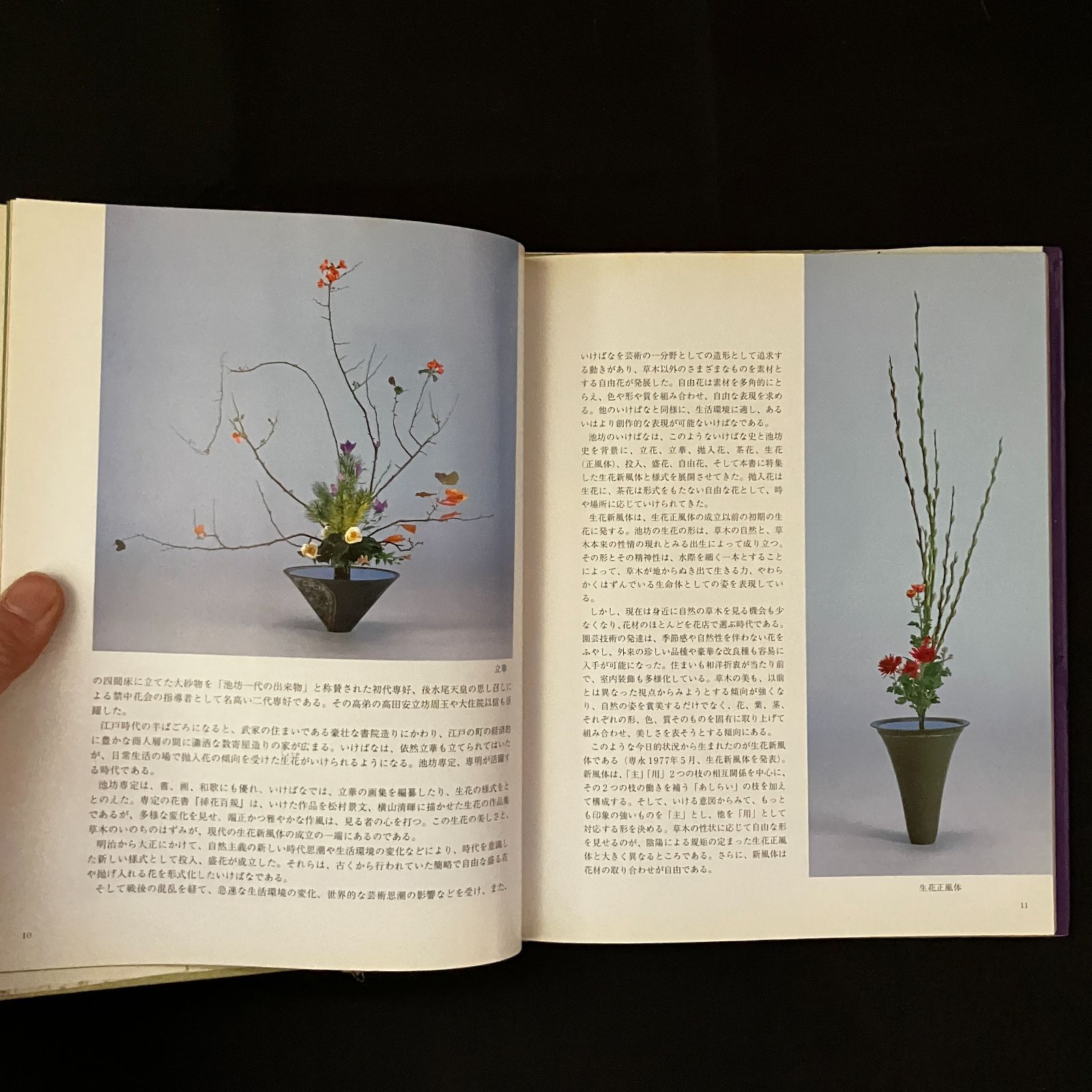 風韻 : 池坊専永のいけばな : 生花新風体 池坊専永 著 143p