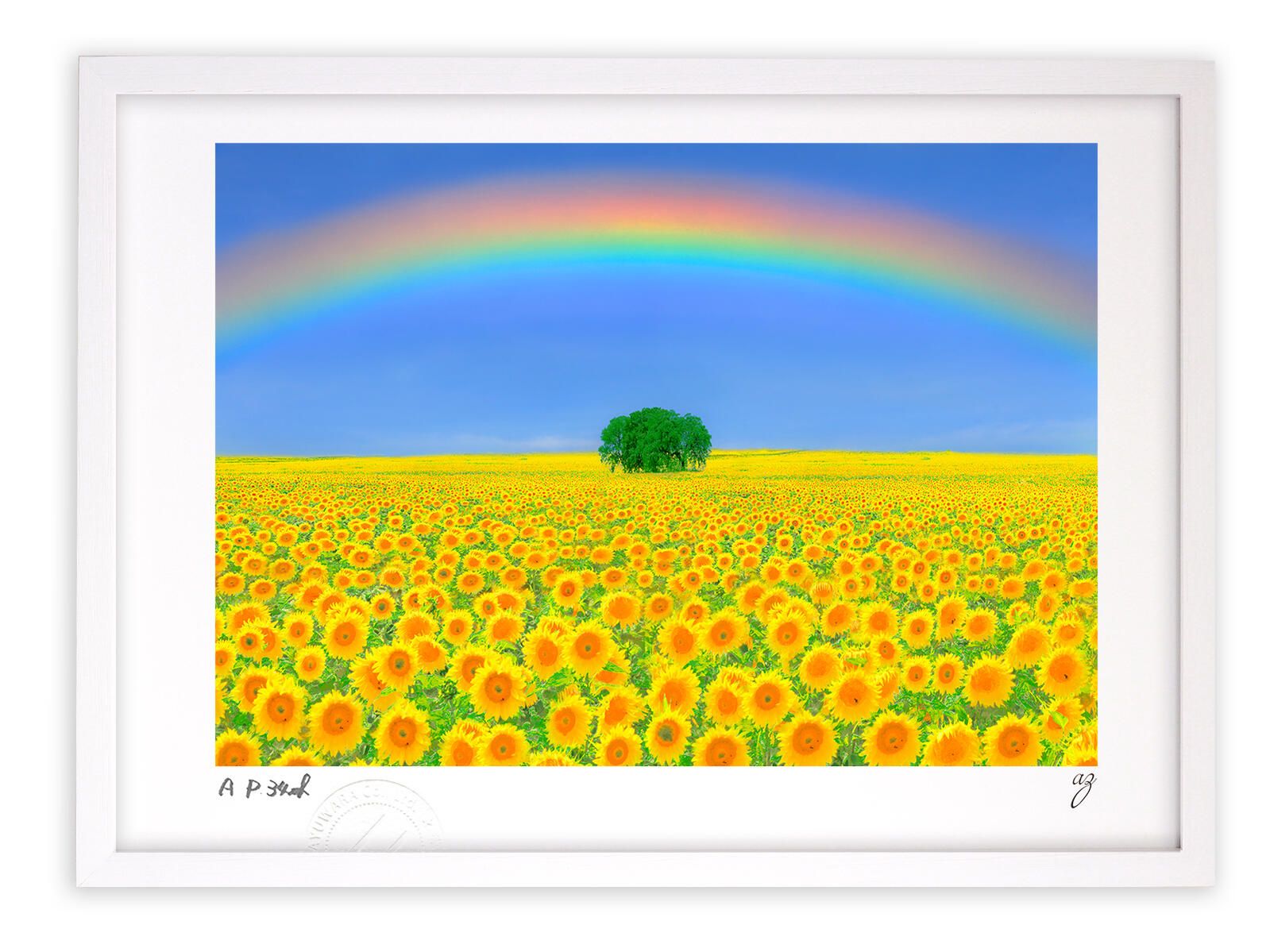 楽天市場】長澤芦雪 虎の通販 虎柄 長沢芦雪 大判ストール