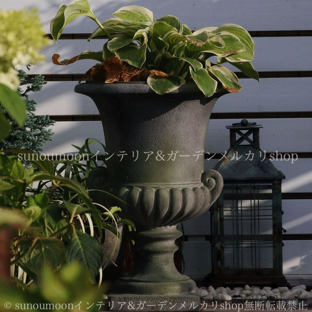 シャビーシック