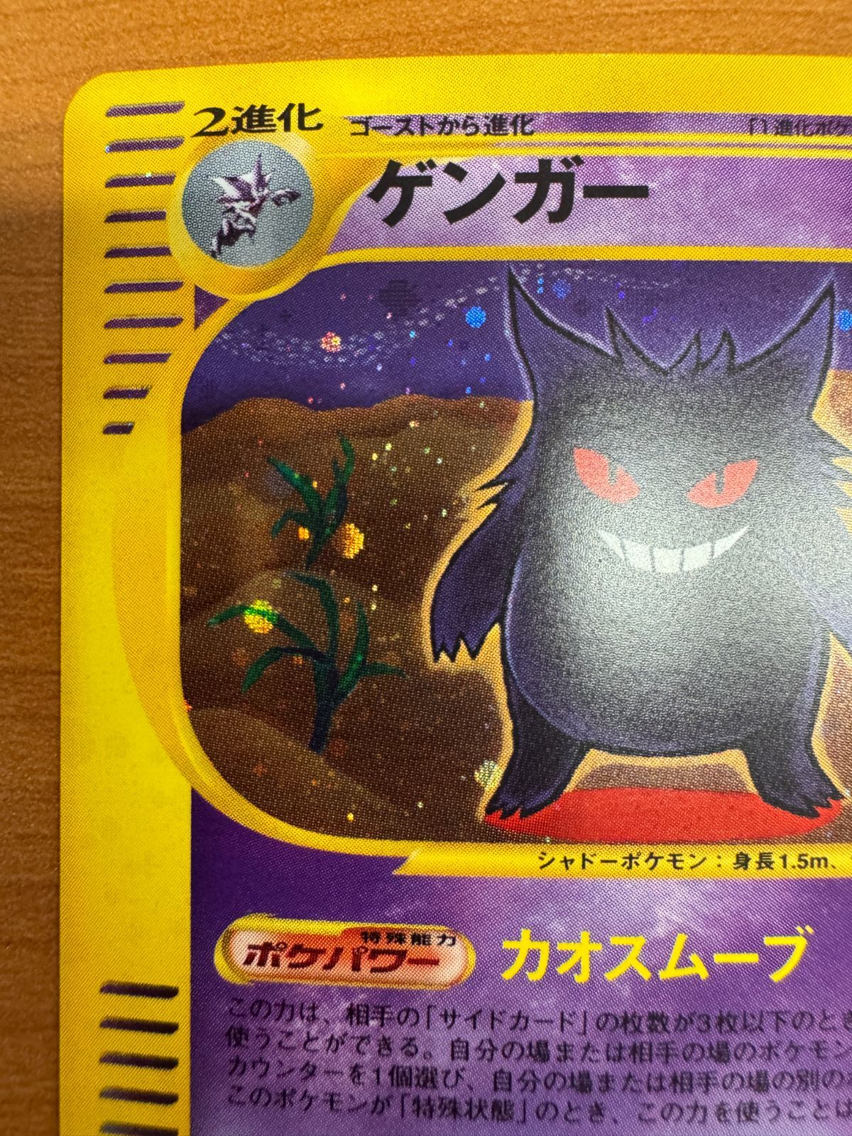 ポケモンカードe ゲンガー 117/128 【公式通販】