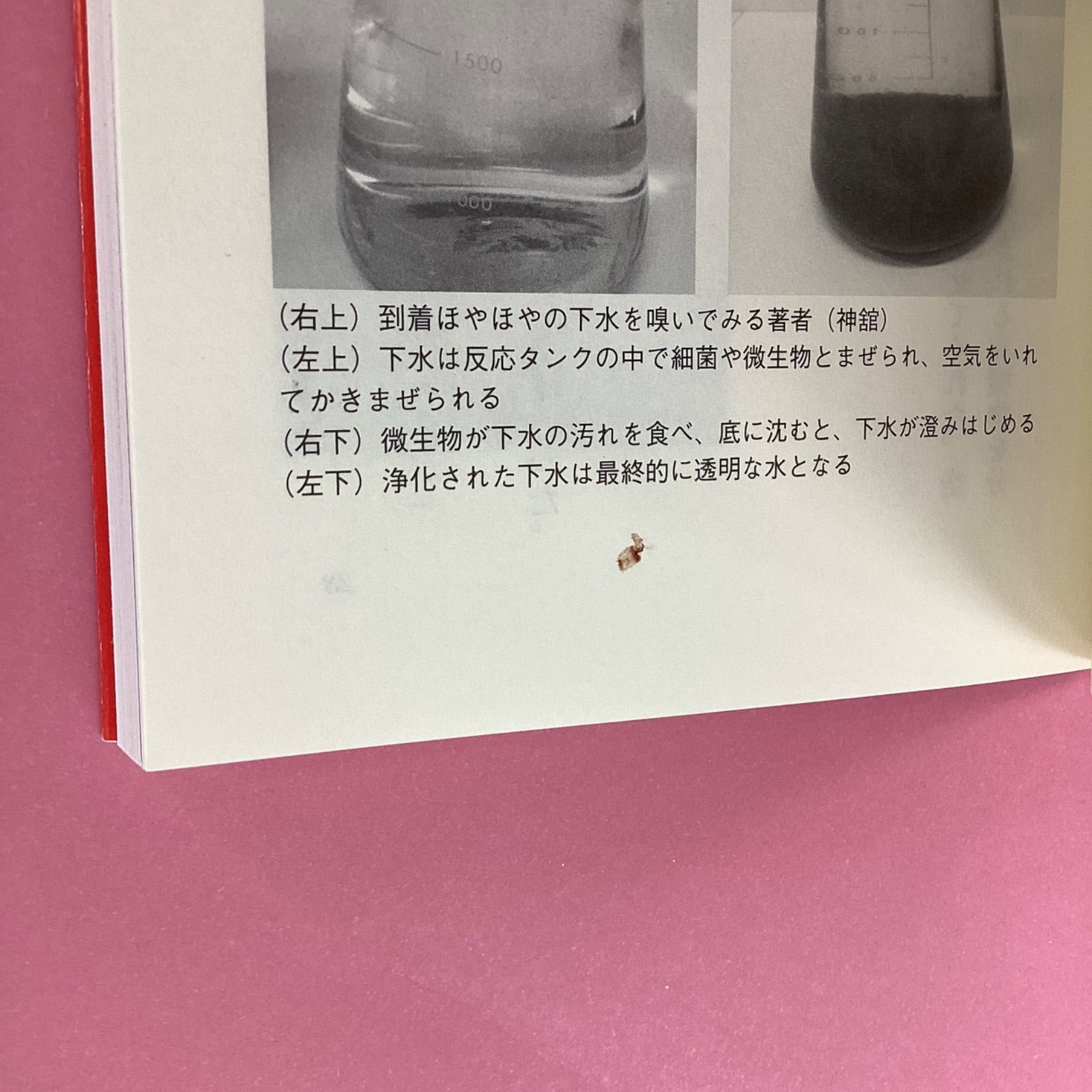 うんちの行方　b14_6239-2