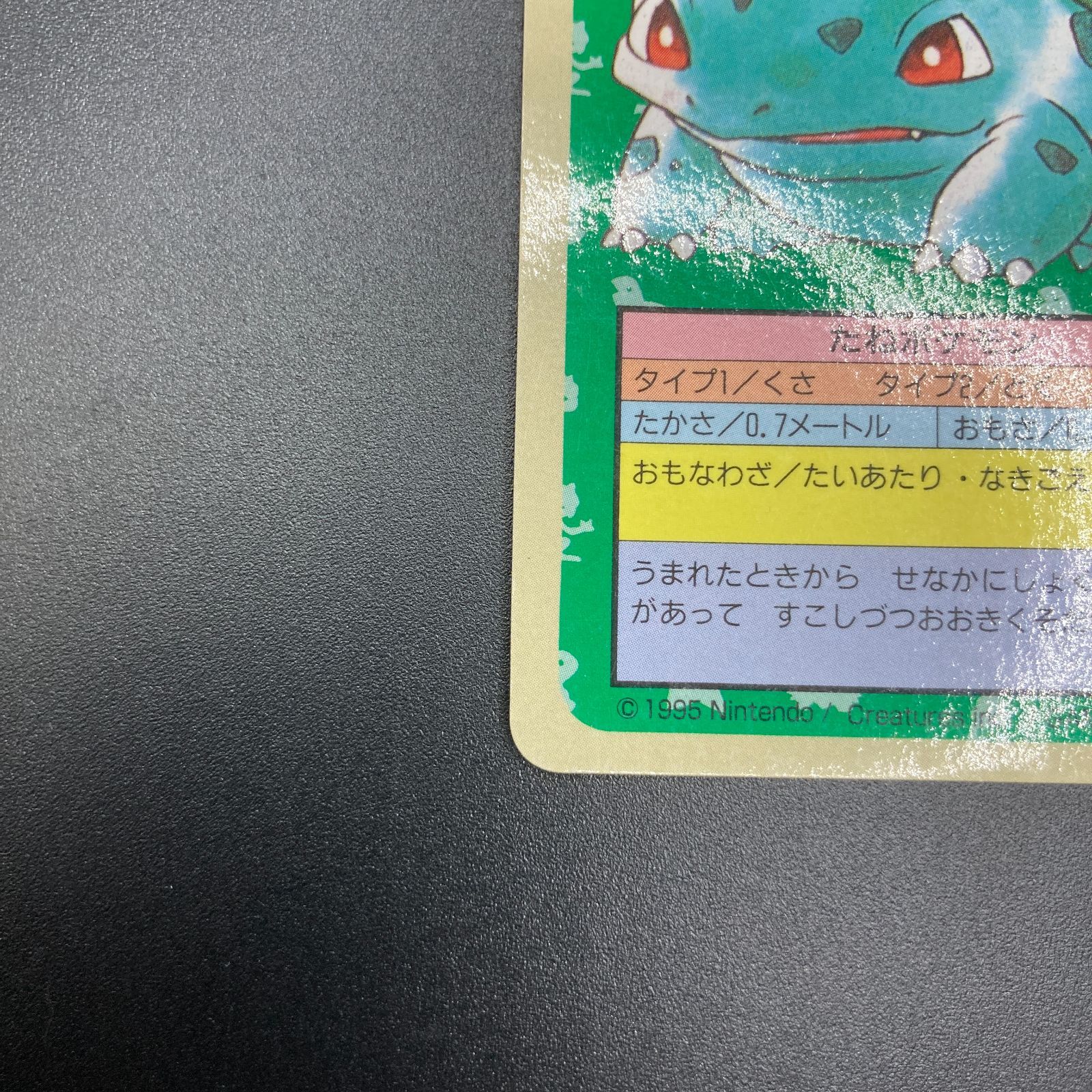 フシギダネ トップサン 最高 番号なし 裏青 番号なし裏青】トップサン