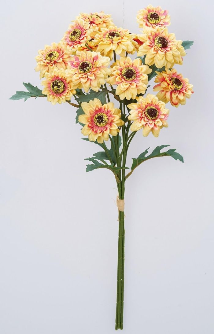 1束3本