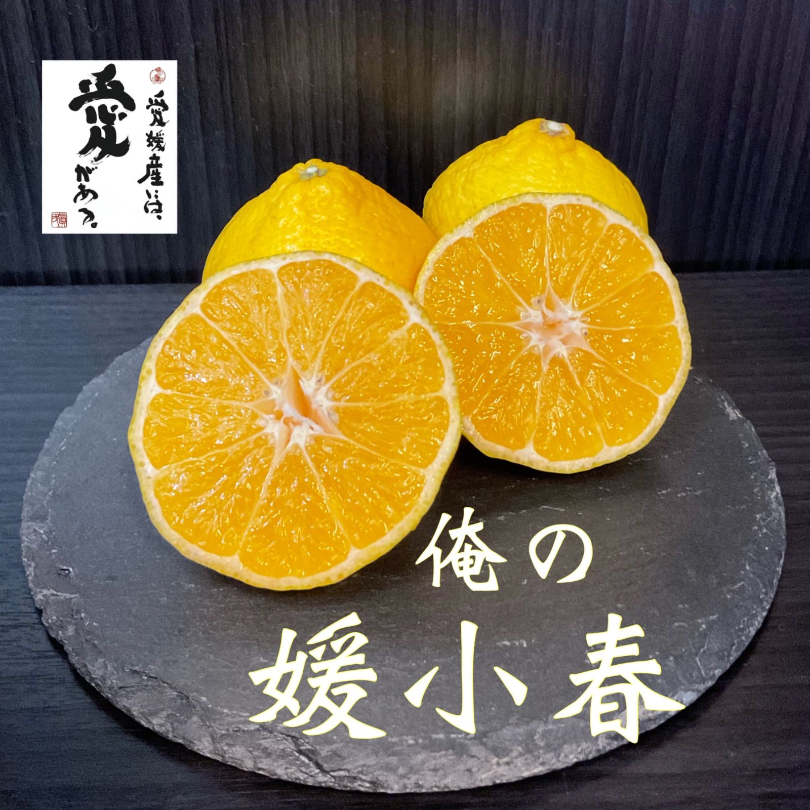 愛媛産 媛小春 5キロ 家庭用 訳あり媛小春5」【送料無料】【希少品種】【訳あり品】【数量