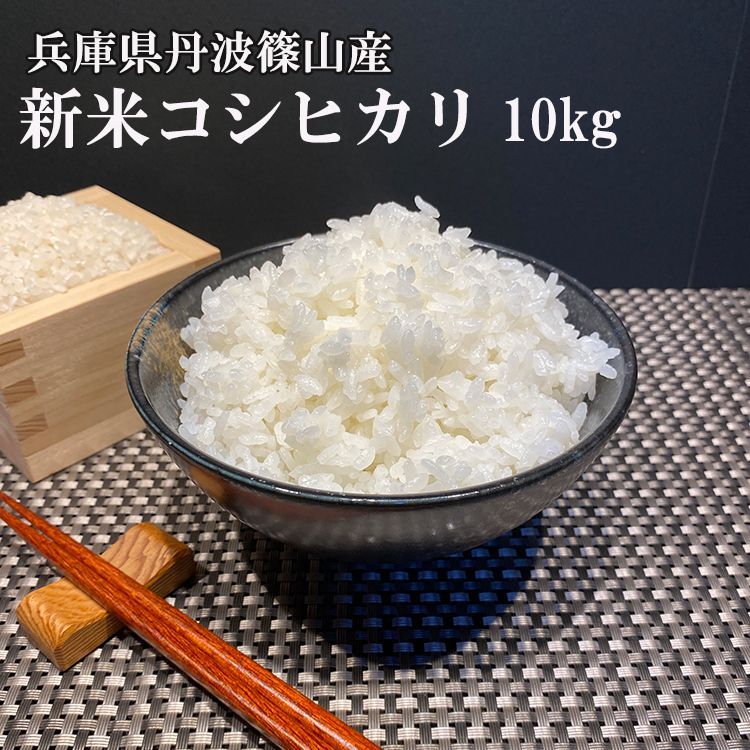 【丹波篠山コシヒカリ】白米/10kg  令和4年産　美味しいお米☆農家直送！！