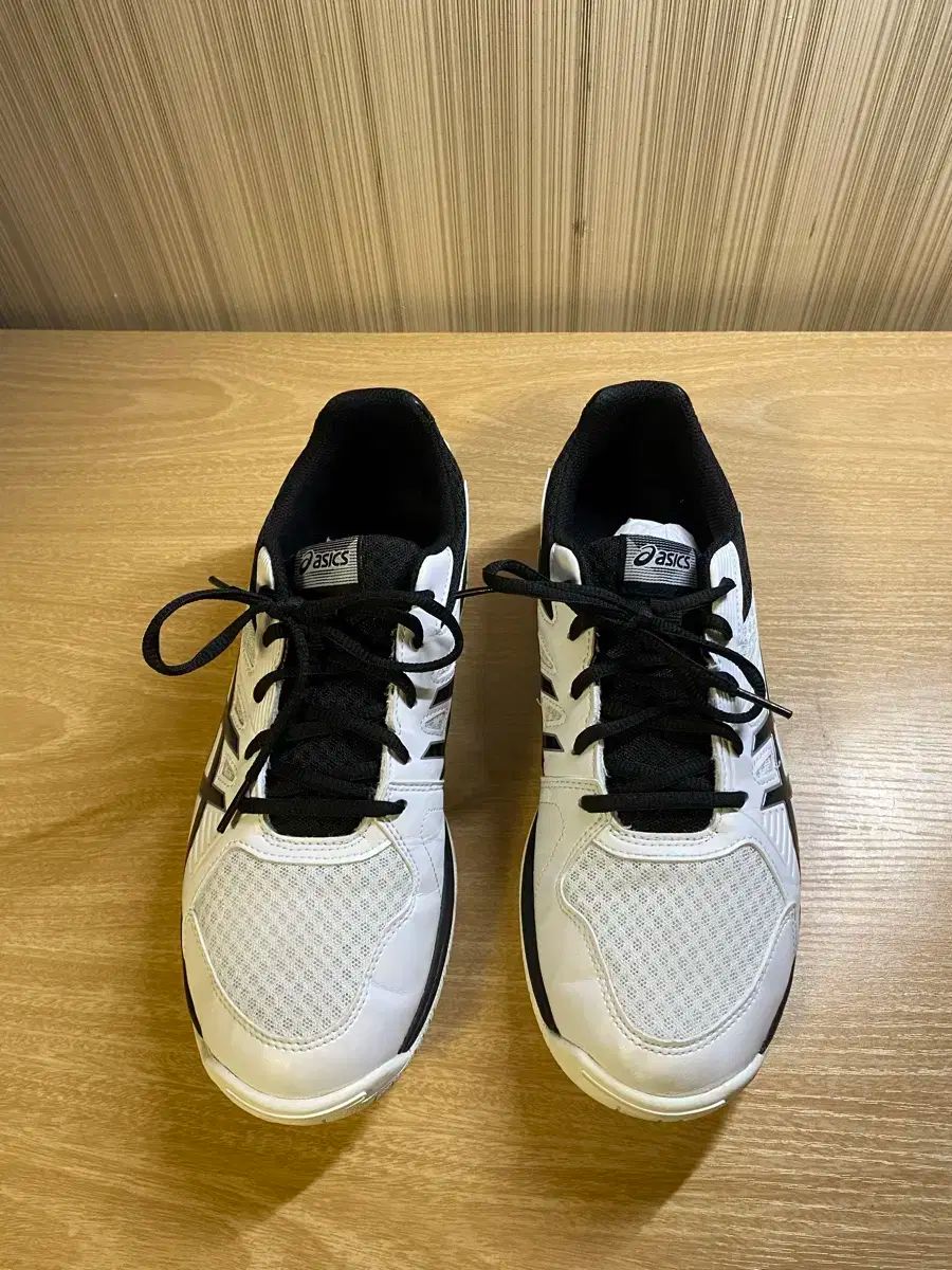 Asics アシックス バレーボールシューズ