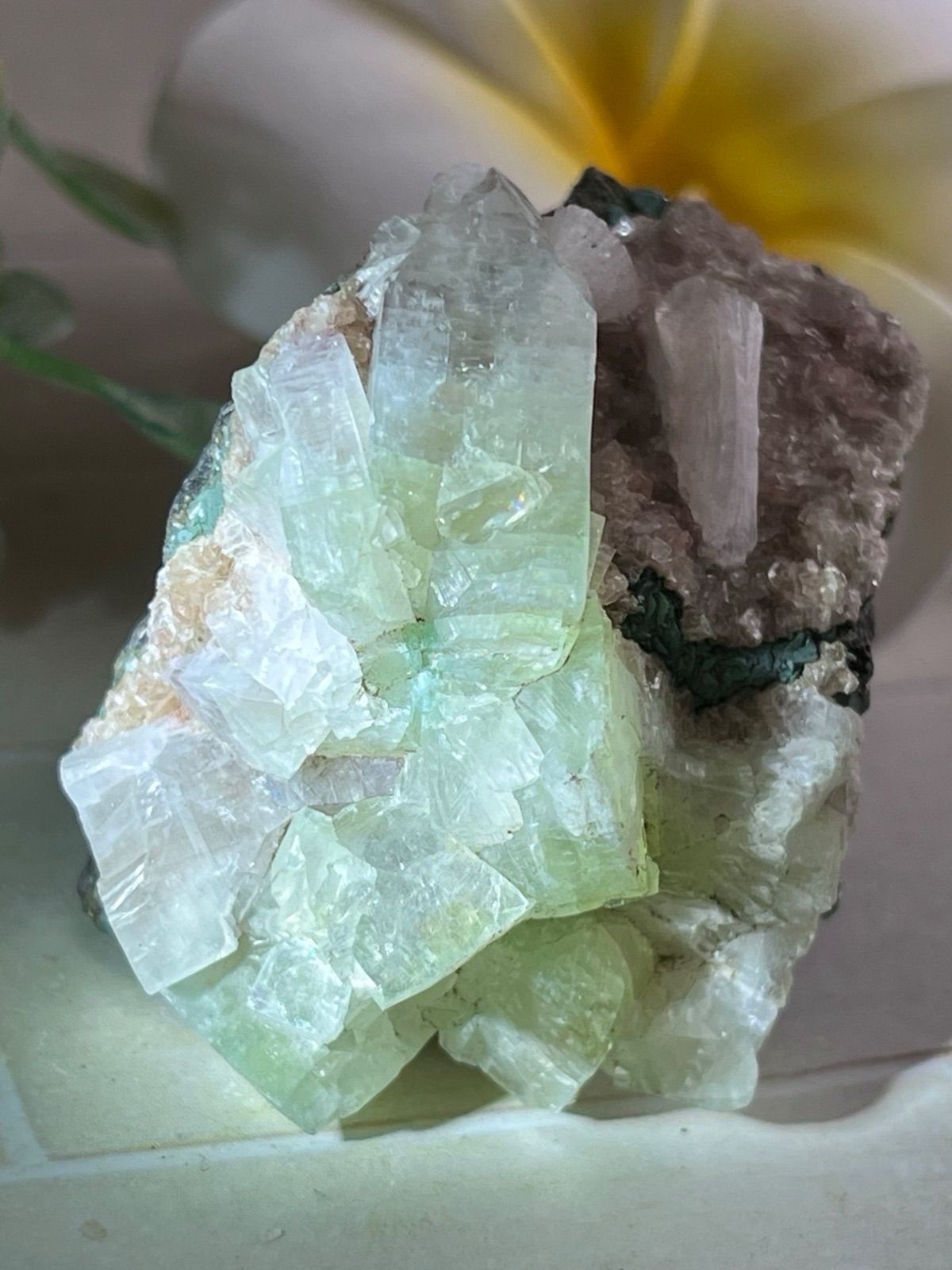 天使の水晶✨　グリーンアポフィライト　原石　魚眼石　スチルバイト　クラスター Amazon.co.jp: 天使の水晶 グリーンアポフィライト 原石 魚眼石