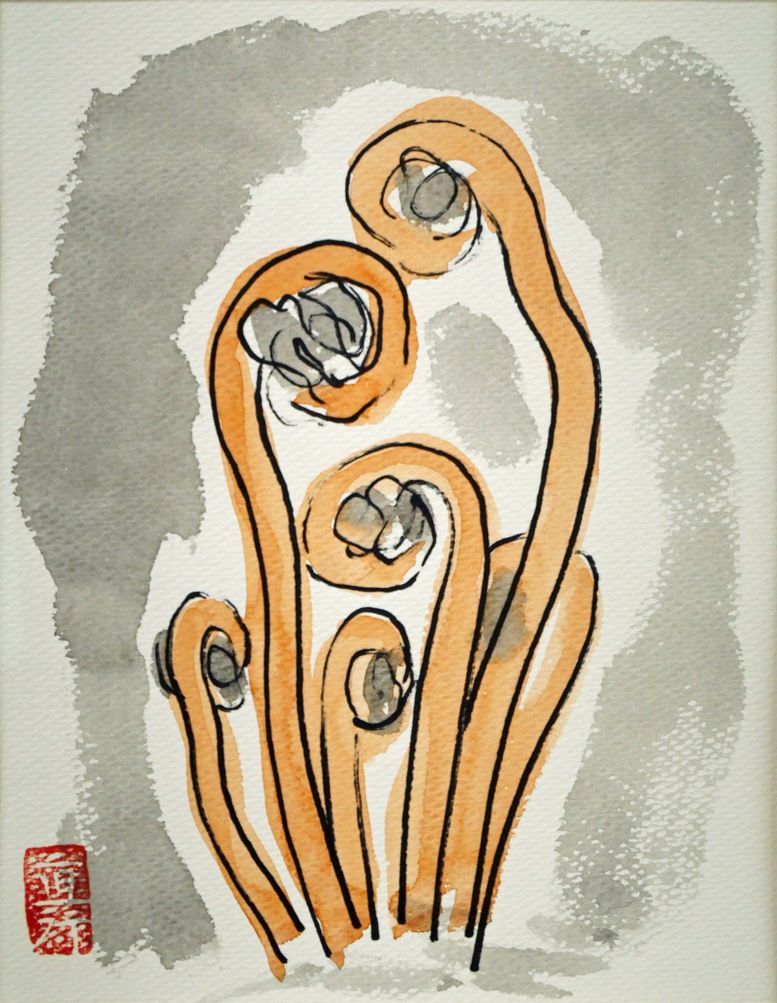 坂本 直行「ぜんまい」水彩画（19×16cm） 六花亭包装紙 北大山岳