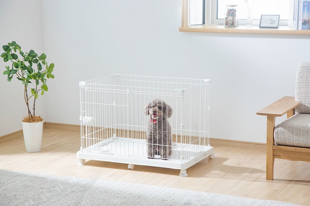 小型犬用