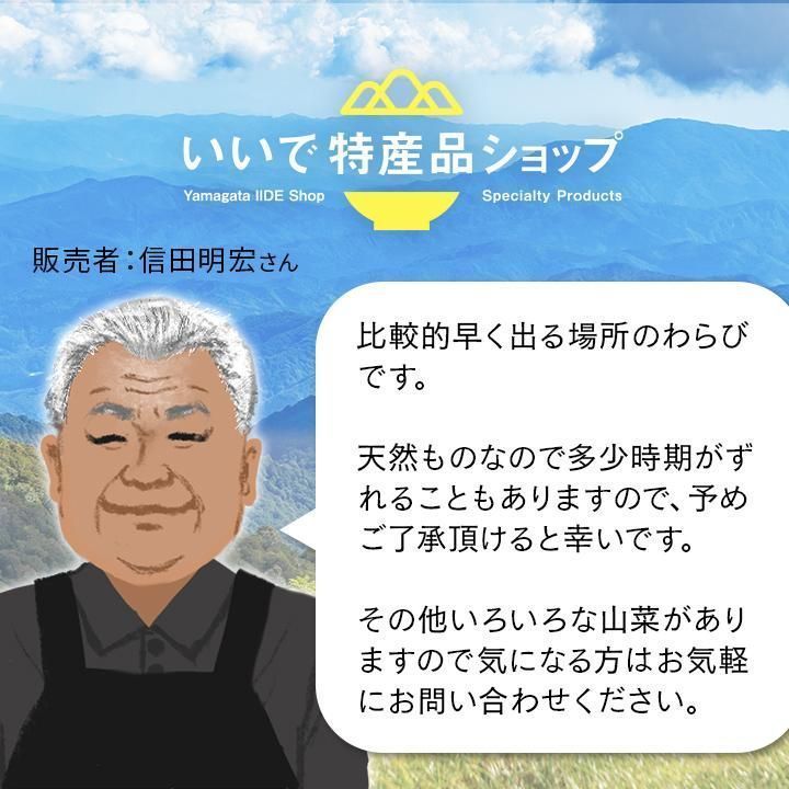 予約商品 山形県産 天然山菜生わらび 飯豊連峰 朝日連峰 朝採り出荷 予約順 5月初旬発送 クール便1ｋｇ