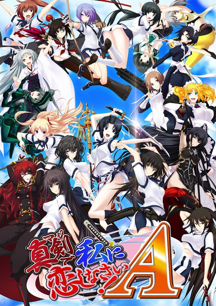 真剣で私に恋しなさい!A 特装版 特典なし