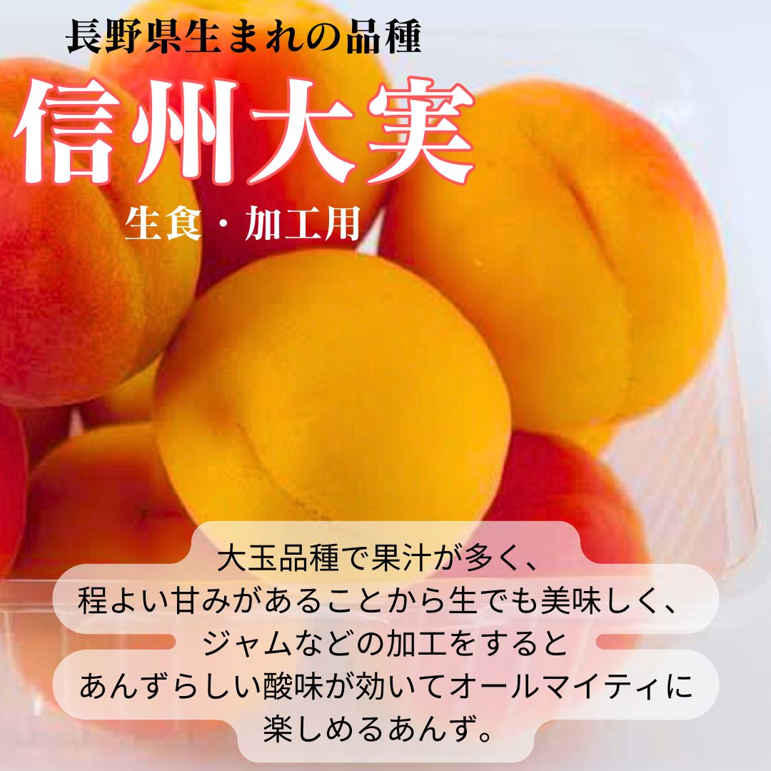 長野県産】生あんず 信州大実 約1kg 産地直送 アプリコット 杏 - メルカリ