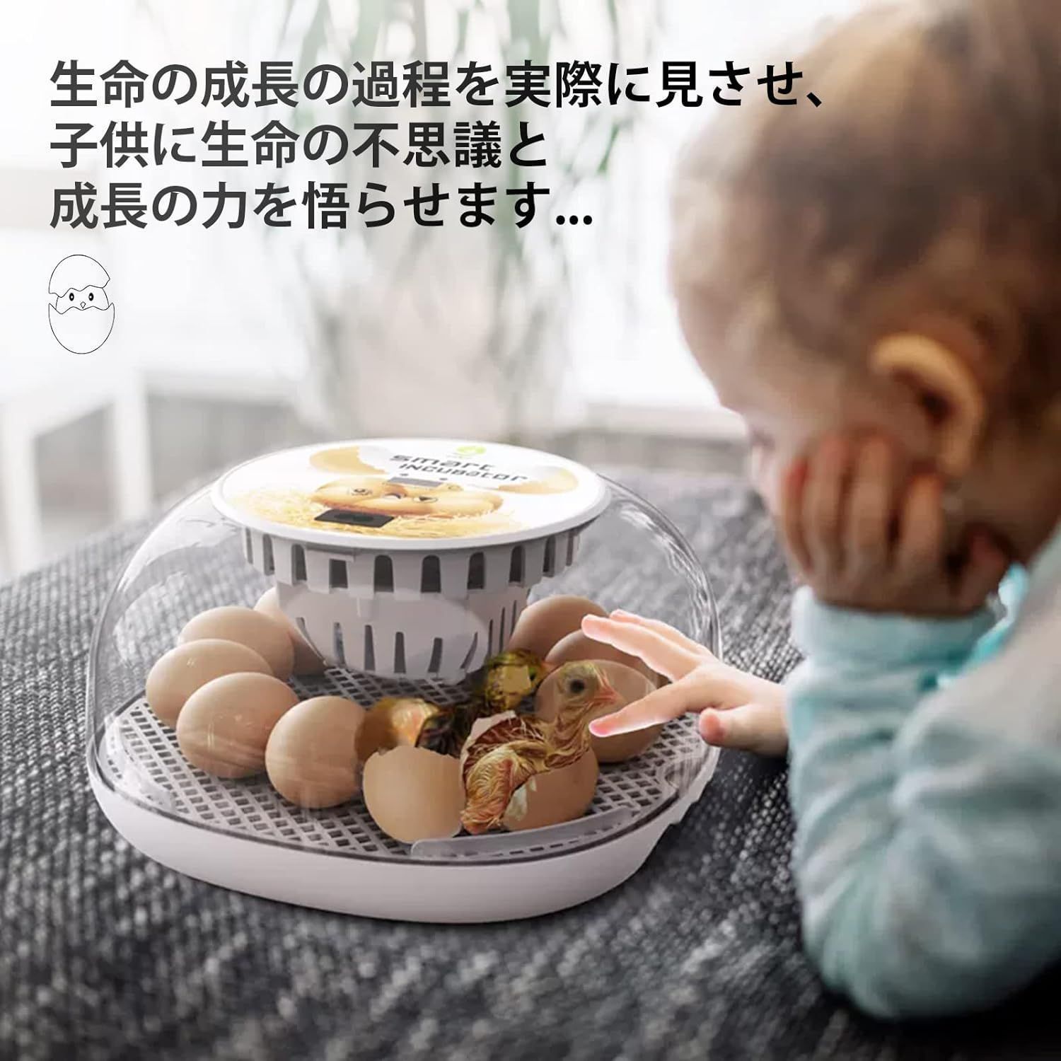 孵化率アップ 孵化器