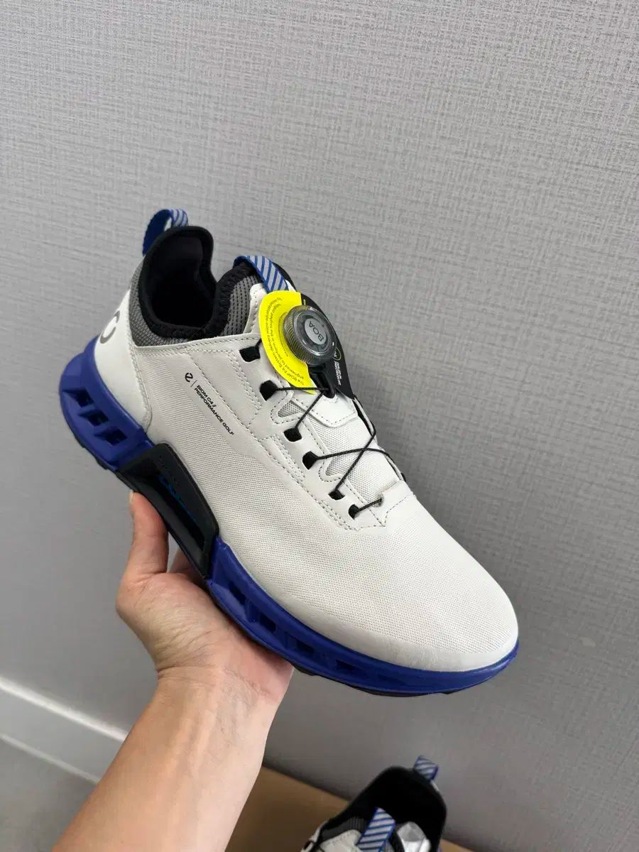 ECCO Ecco(エコー) バイオム C4 ボア メンズ ゴルフシューズ 39