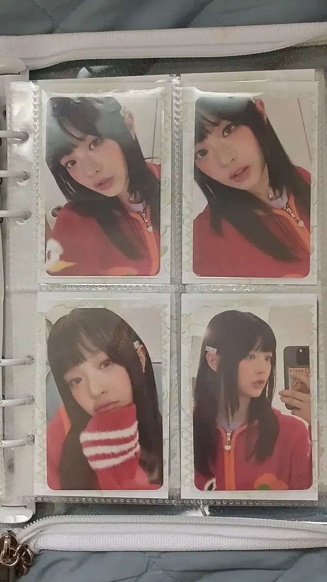 NewJeans ニュージーンズ シーグリ シーズングリーティング 2024