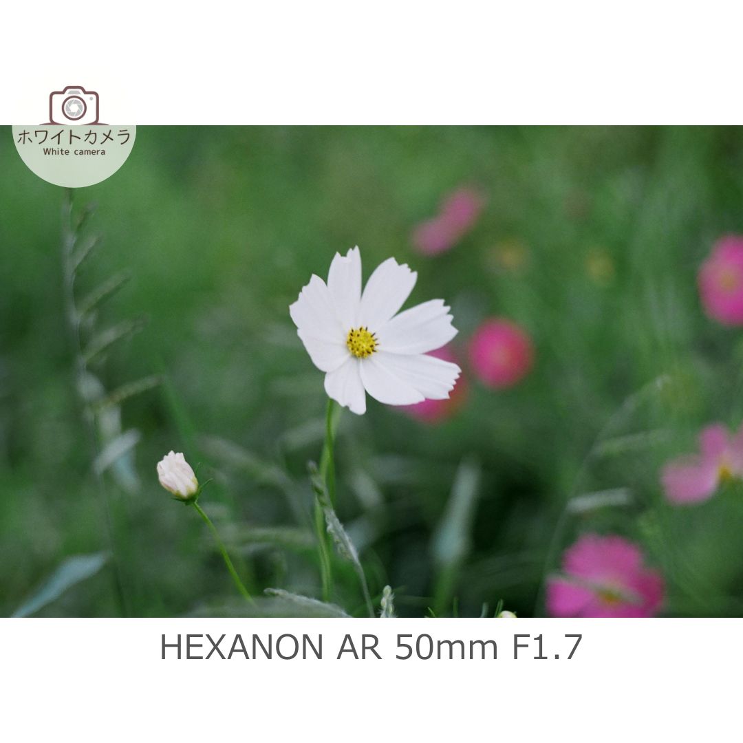  整備済み 撮影例付き KONICA Acom-1 HEXANON AR 50 mm f 1.7 フィルムカメラ リメイクカメラ 一眼レフカメラ(フィルム) フィルムカメラ