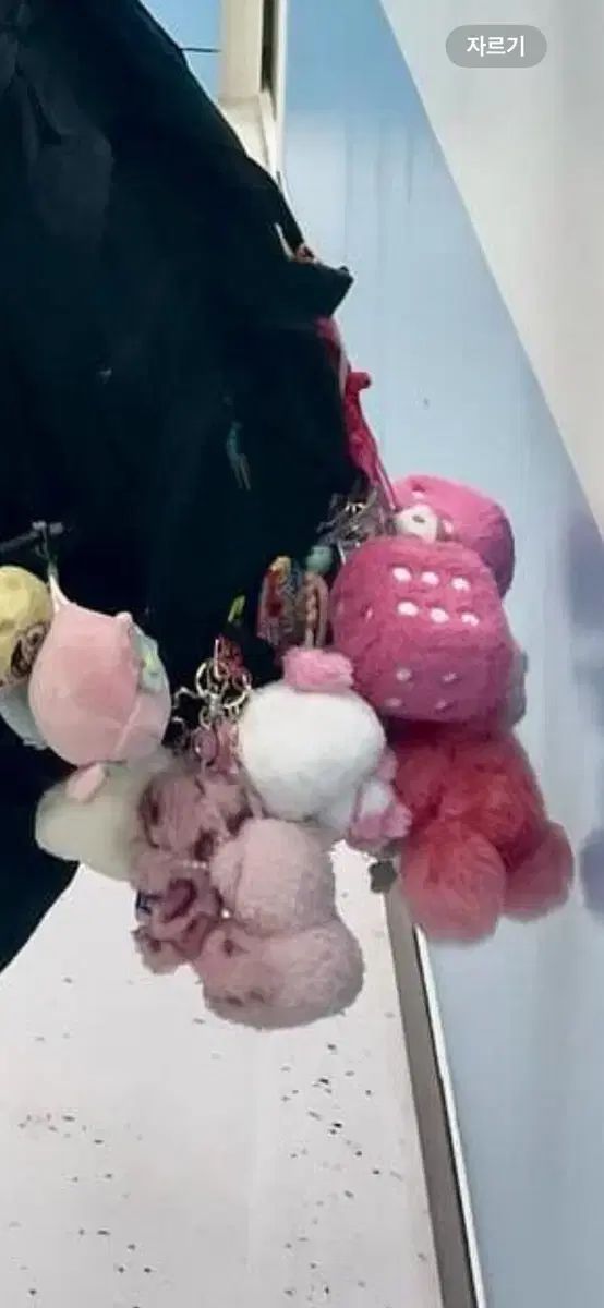【雷市場（ポンジャン）商品韓国直送】 エンシティウィッシュ さくや ソン・ミンス キーリング 3 犬 まとめ売り