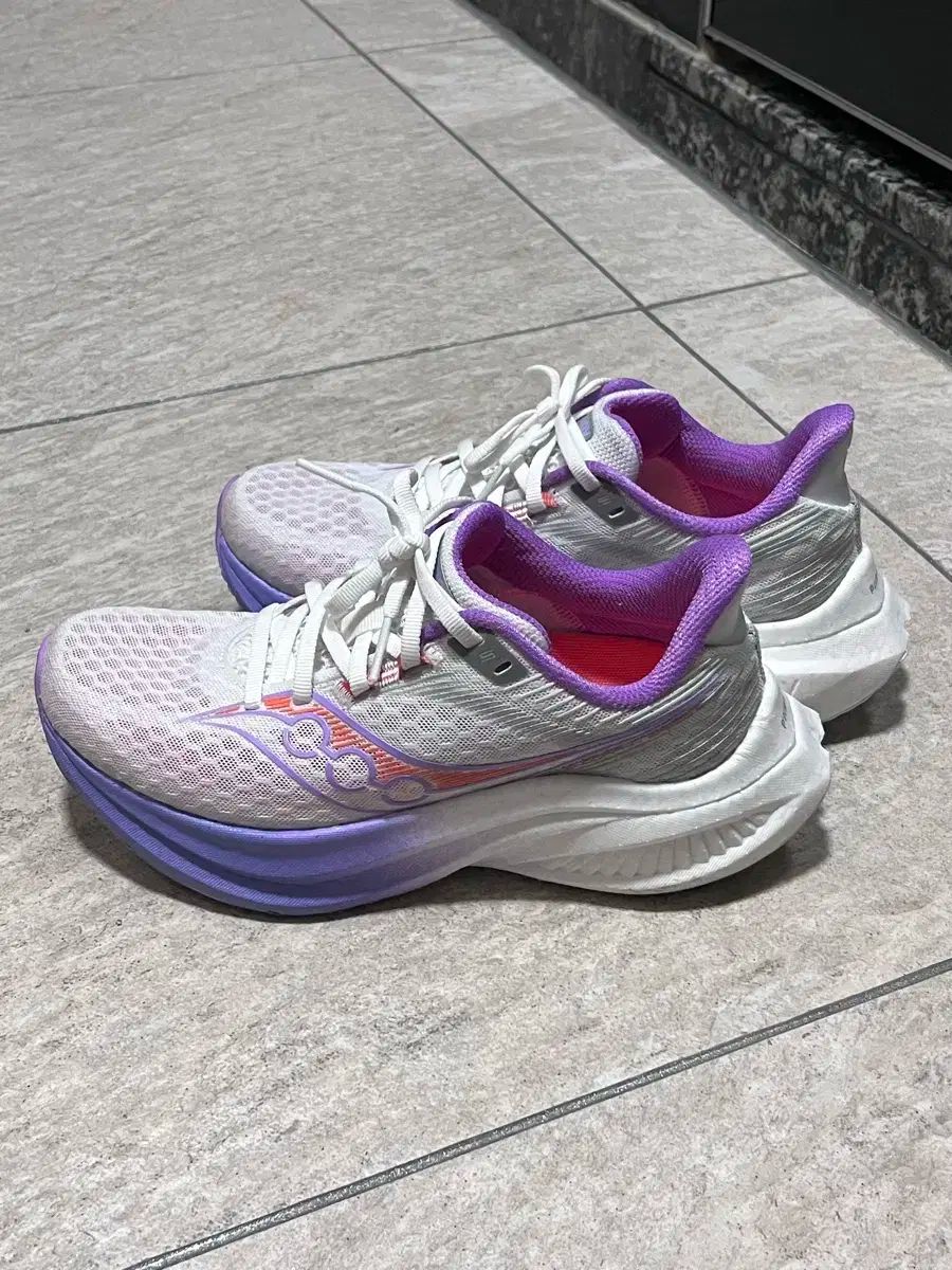 Saucony サッカニー エンドルフィン スピード 5 ランニングシューズ 235 陸 1 刺身 OLIVEOS_COM_TR