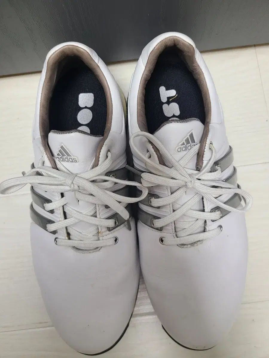 adidas(アディダス) ゴルフシューズ 250 サイズ adidas