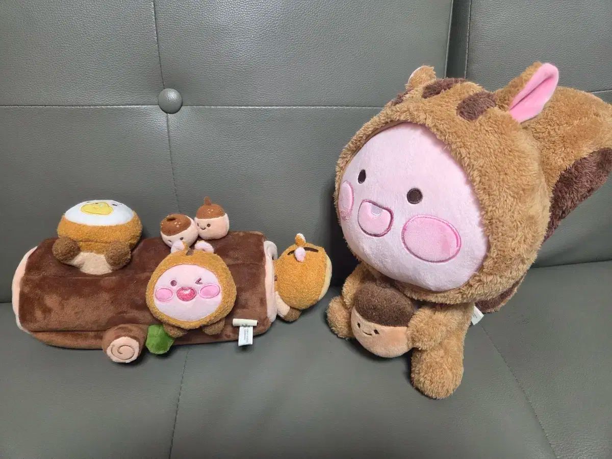 フトオアゲハ♂標本 ☆台湾産☆有名種 104mm 美麗標本状態⭕️ 入手困難