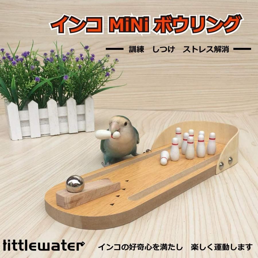 小鳥 インコ オウム ボーリング ストレス解消 しつけ 訓練 学習 遊び ストレス解消 運動