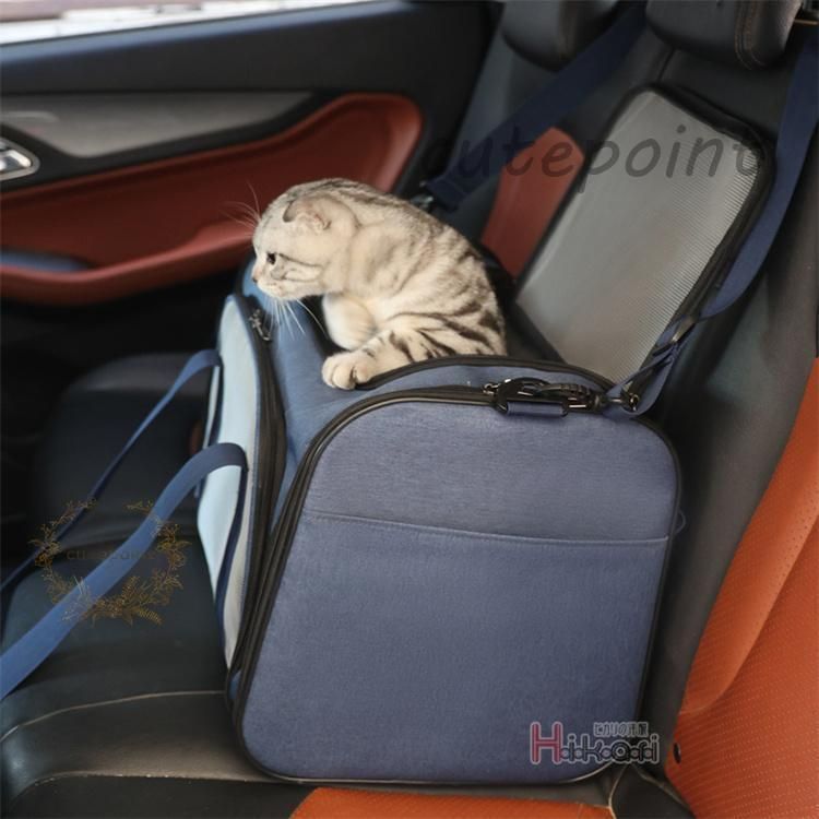 小型犬 中型犬