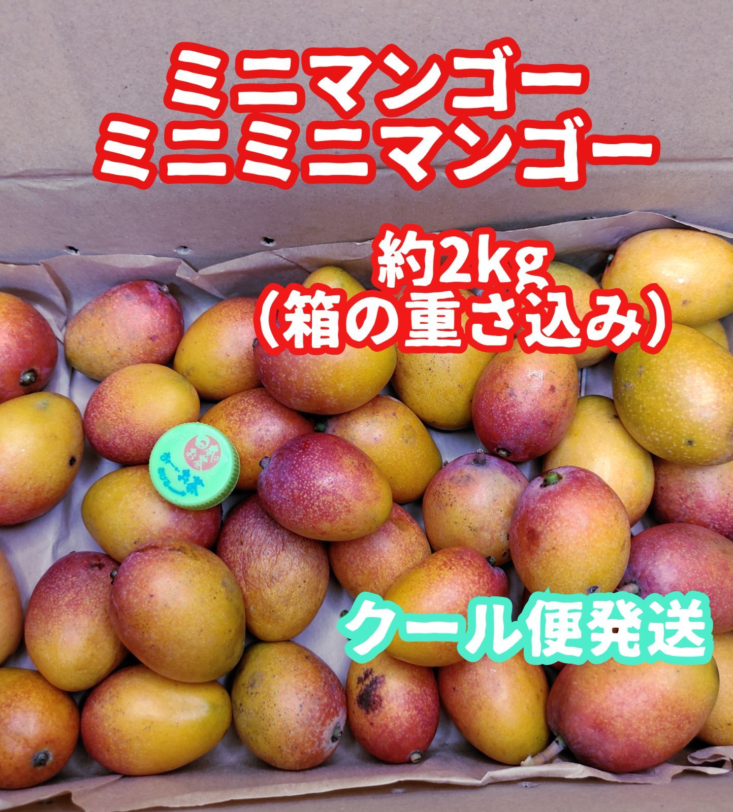 2キロ入りミニミニマンゴー 訳あり③】完熟 ミニマンゴー、ミニミニマンゴー《農家直送》2kg