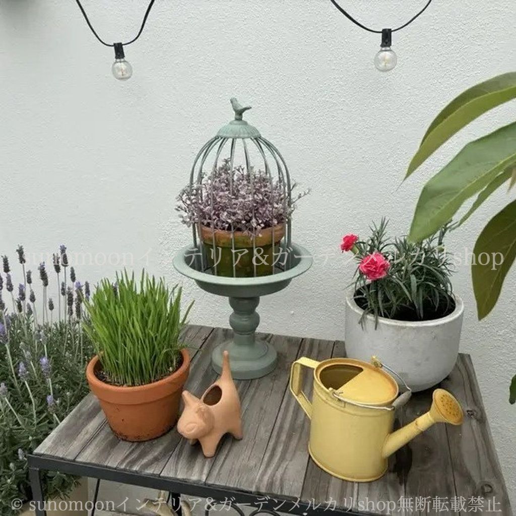 アイアン ポット