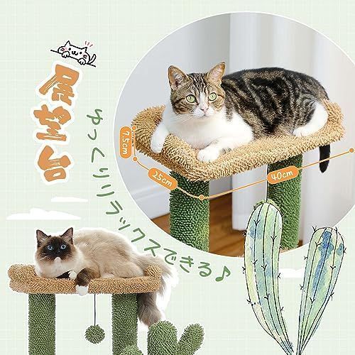 PAWZ Road キャットタワー ミニ 猫タワー サボテン 小型 低め 据え置き