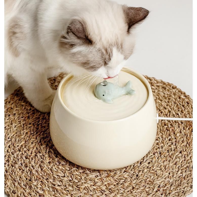 給水器 犬