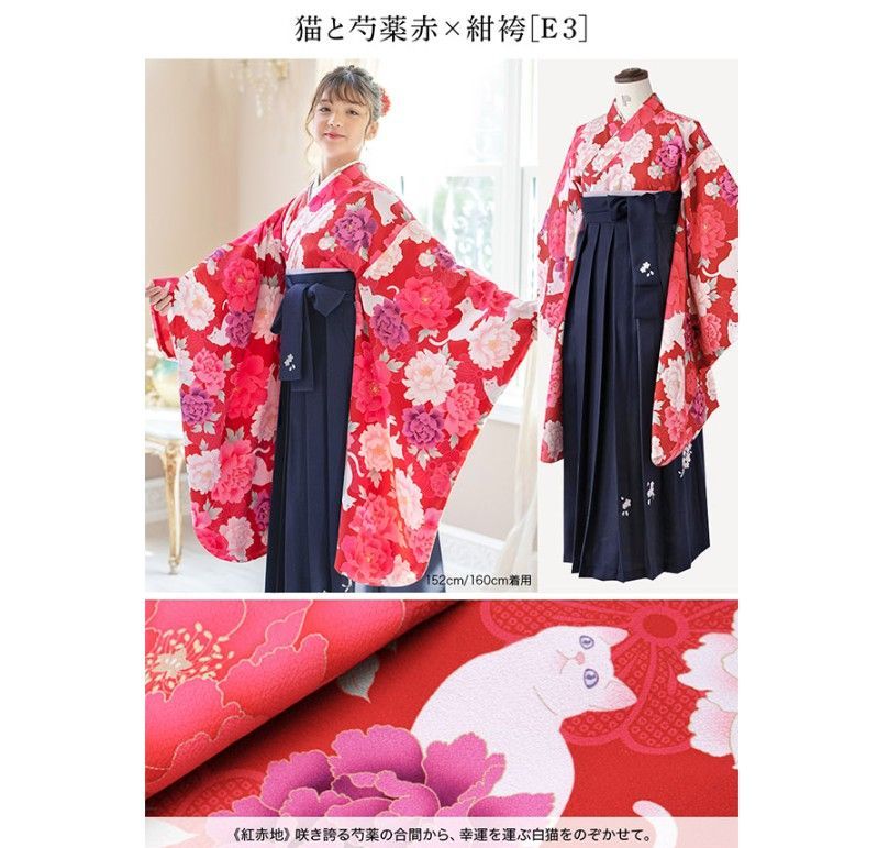 HAKAST18-E3】着付け簡単袴セット 刺繍入り 京都絵師描き下ろし本格柄
