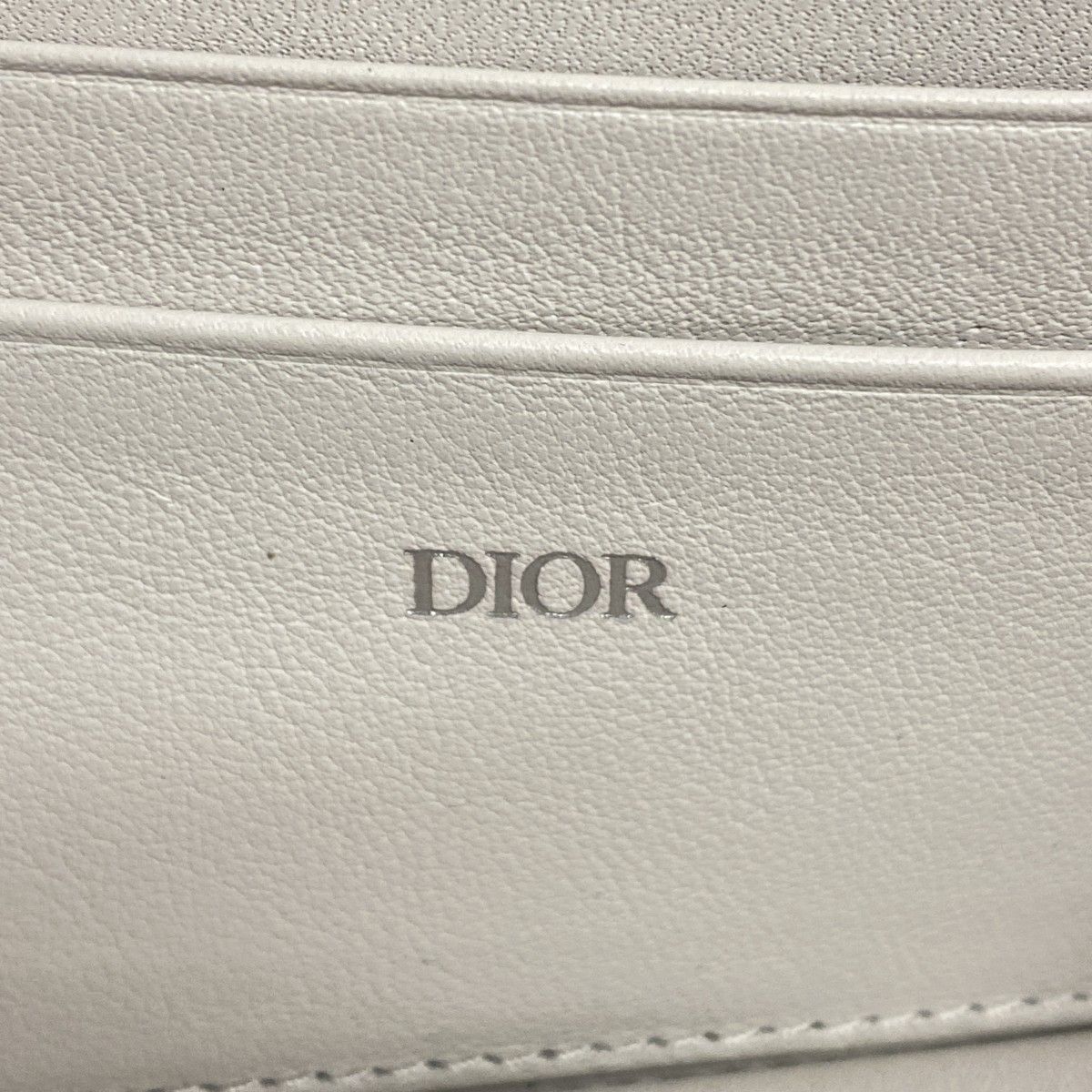 5da0761】クリスチャンディオール ショルダーバッグ リモワ  