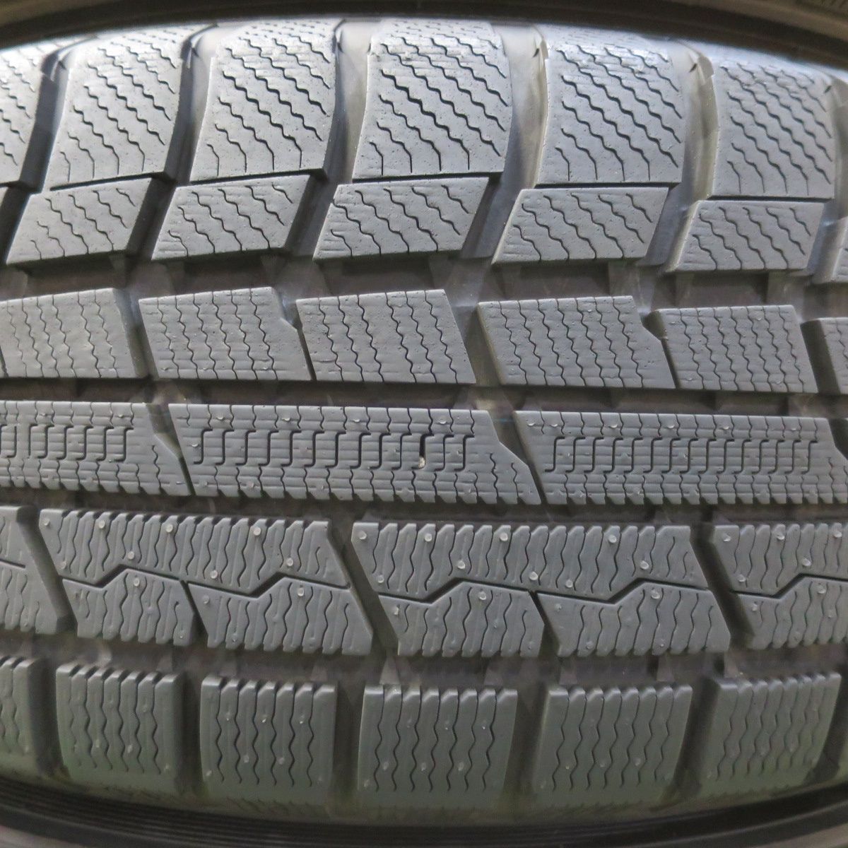 トーヨー ウインター