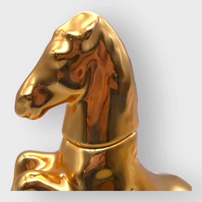 【親種大型】アクベシアヌスミヤマ ♀単品 44.1mm CBF1 人気SALE，豊富な Kennyアクベシアヌスミヤマ アクベシアヌス