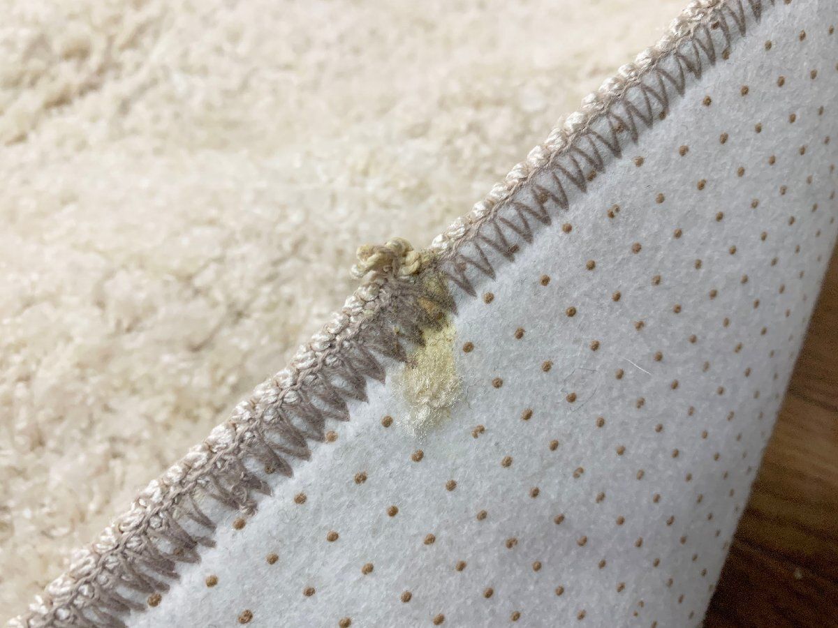 リュストル14AW 絨毯