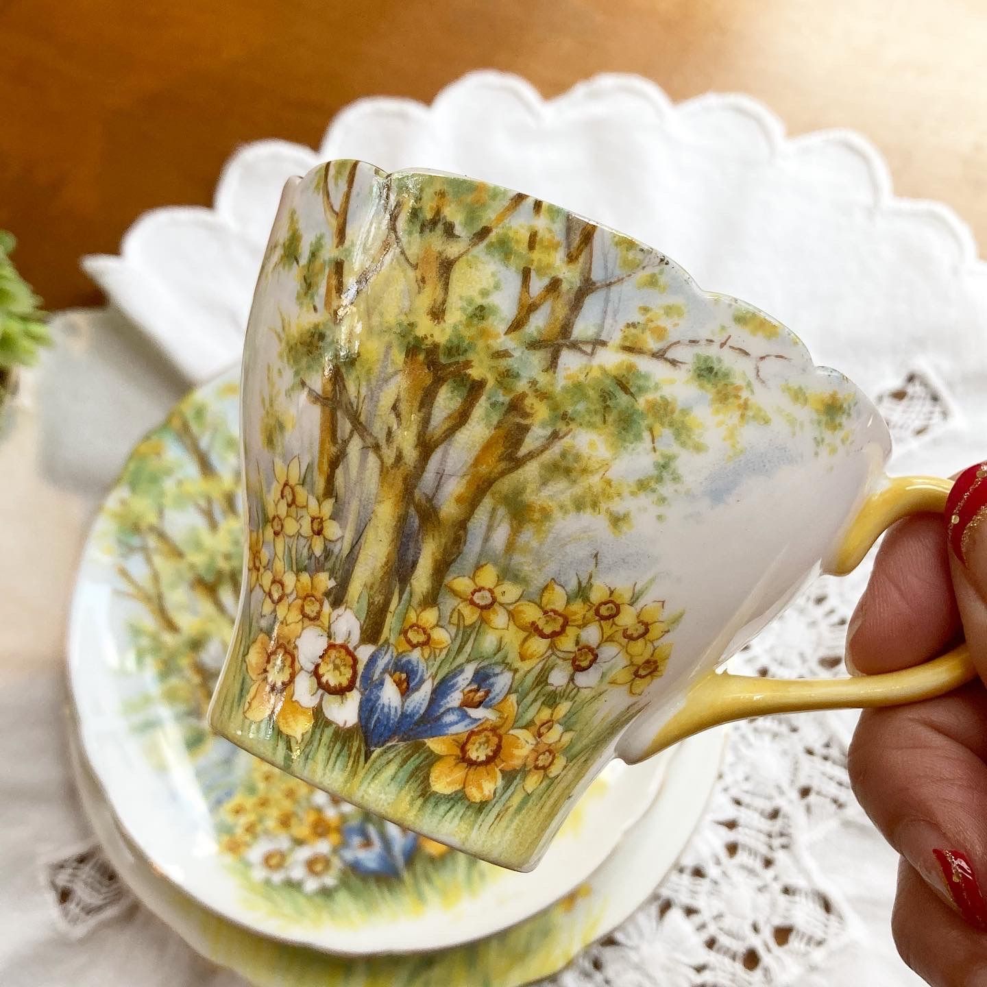 シェリー ラッパ水仙 カップ&ソーサー Shelley 