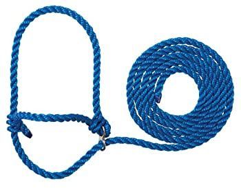 Weaver Leather Stierwalt Breaking Halter