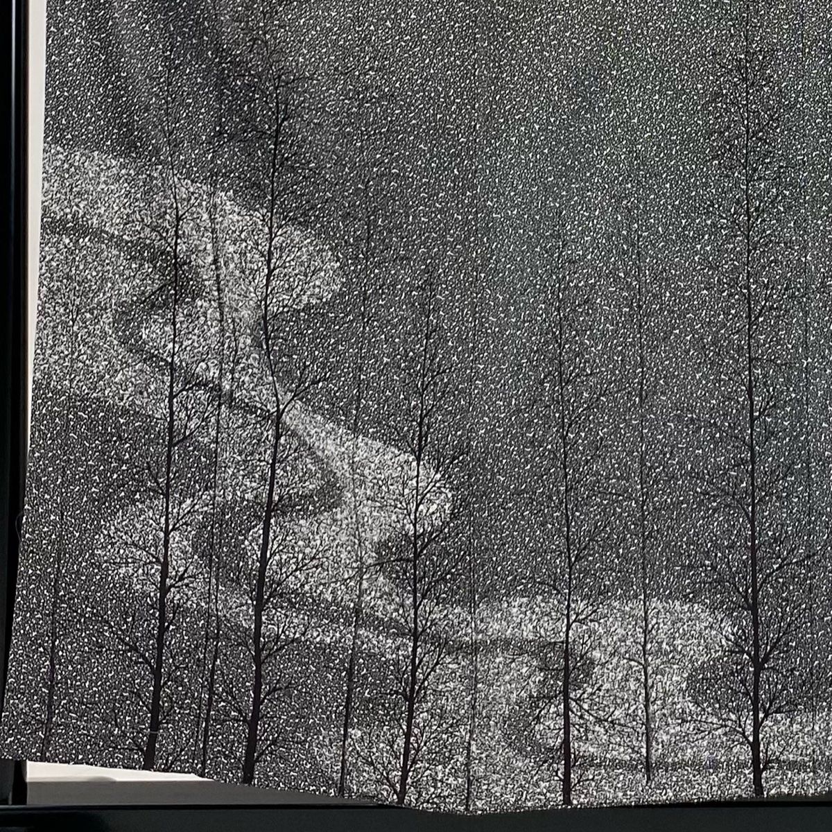 付下げ 身丈157cm 裄丈65.5cm M 袷 樹木 霞 黒灰 正絹 秀品