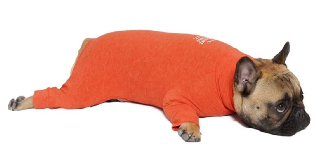 MANDARINE BROTHERS マンダリンブラザーズ SKIN TIGHT SUIT スキンタイトスーツ 犬用インナーウェア (5L， ORANGE)