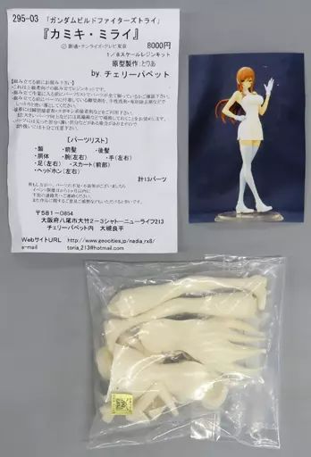 【】フィギュア カミキ・ミライ 「ガンダムビルドファイターズ トライ」 1/8 レジンキャストキット