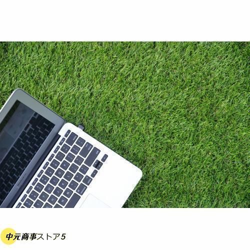 芝丈30mm ピン22本つき